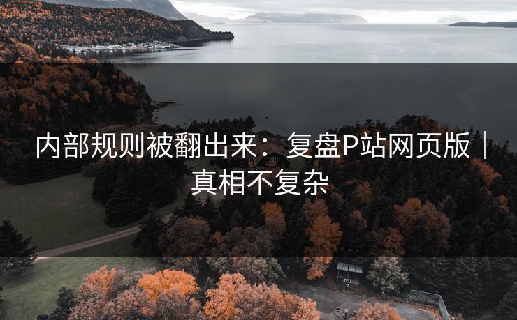内部规则被翻出来：复盘P站网页版｜真相不复杂