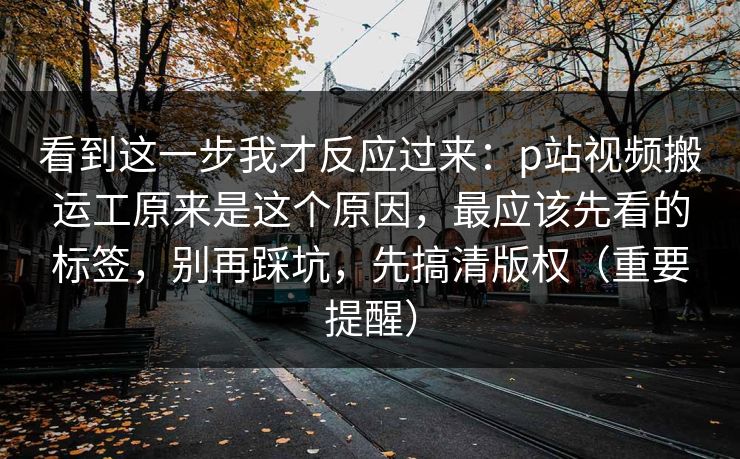 看到这一步我才反应过来：p站视频搬运工原来是这个原因，最应该先看的标签，别再踩坑，先搞清版权（重要提醒）