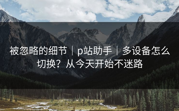 被忽略的细节｜p站助手｜多设备怎么切换？从今天开始不迷路