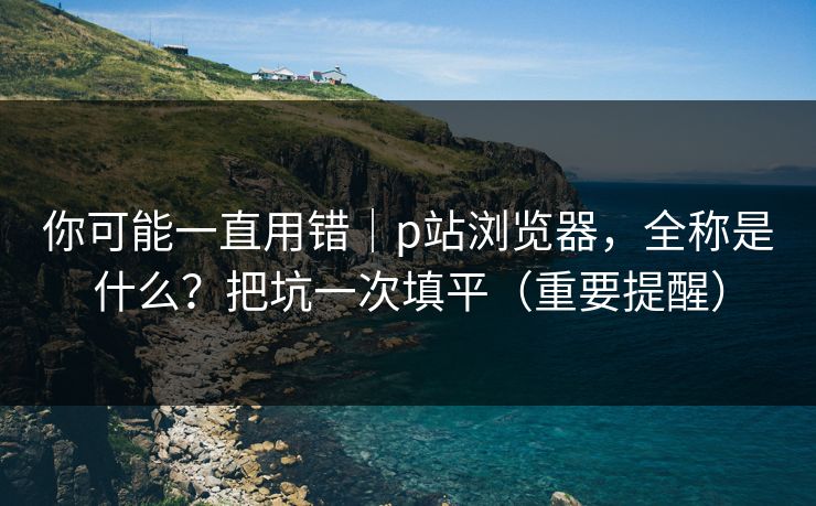 你可能一直用错｜p站浏览器，全称是什么？把坑一次填平（重要提醒）