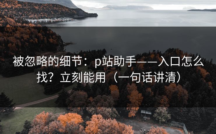 被忽略的细节：p站助手——入口怎么找？立刻能用（一句话讲清）