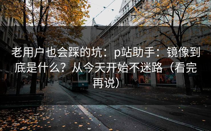 老用户也会踩的坑：p站助手：镜像到底是什么？从今天开始不迷路（看完再说）
