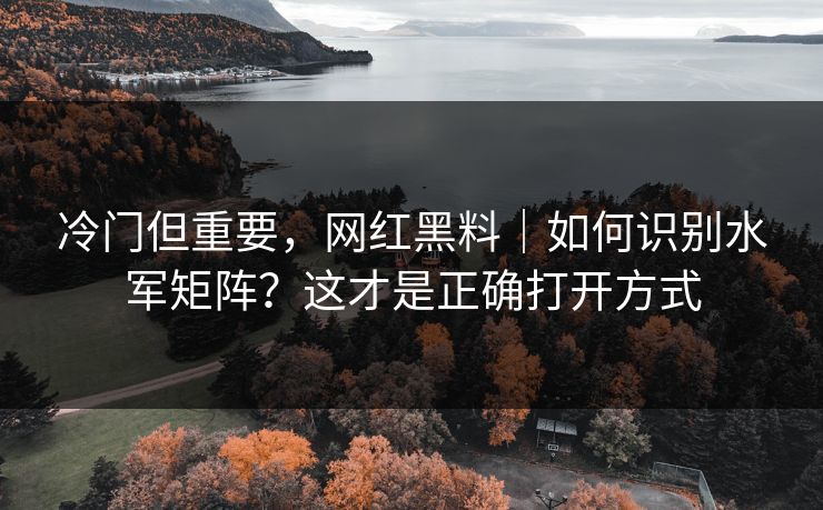 冷门但重要，网红黑料｜如何识别水军矩阵？这才是正确打开方式
