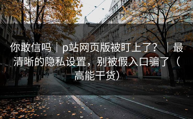 你敢信吗｜p站网页版被盯上了？｜最清晰的隐私设置，别被假入口骗了（高能干货）