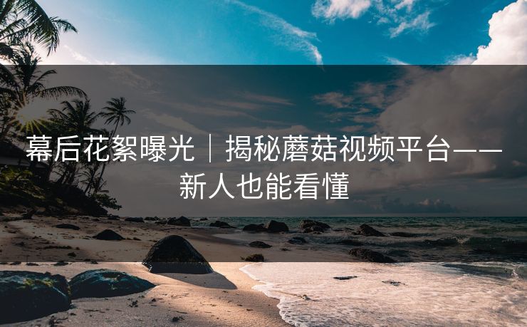 幕后花絮曝光｜揭秘蘑菇视频平台——新人也能看懂