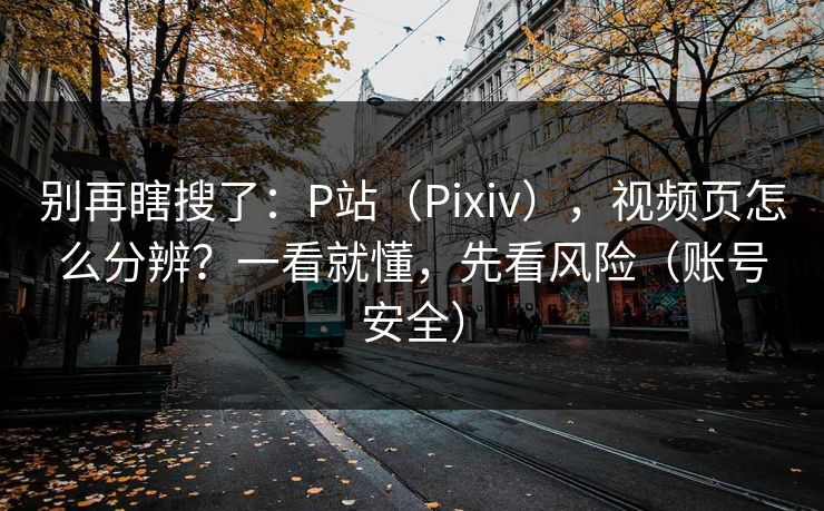 别再瞎搜了：P站（Pixiv），视频页怎么分辨？一看就懂，先看风险（账号安全）